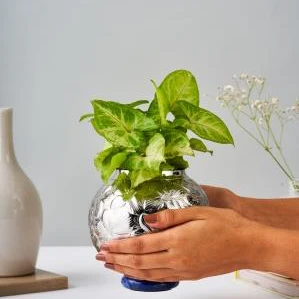 Leaf Vase Large – Elegant Stainless Steel Home Decor - Image 3