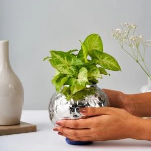 Leaf Vase Large – Elegant Stainless Steel Home Decor - Image 4